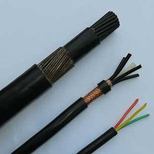 氟塑料絕緣計(jì)算機(jī)用高溫測(cè)控電纜